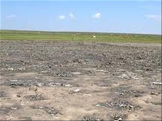 Gevaarligte flikker weens lae damvlakke | News Article