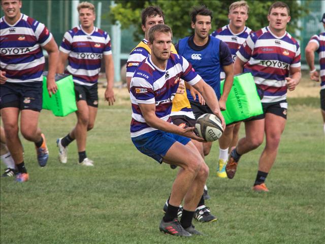 Whitehead and Arnoldi on debut for the Cheetahs | News Article