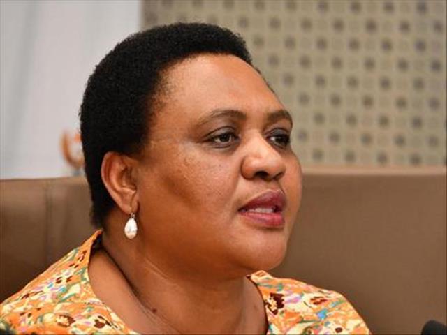 Didiza chair of AU committee on agriculture | News Article