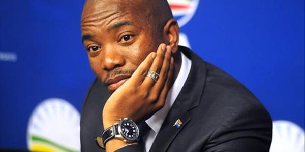 Maimane won’t be successful in forming new party - Analyst | News Article