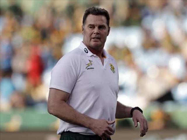 Rassie Erasmus talking about the Springboks | News Article