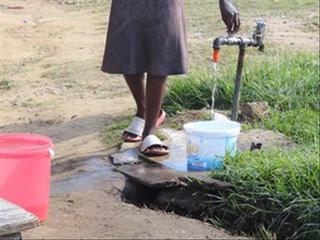 More than 40 admitted to hospital with diarrhoea | News Article
