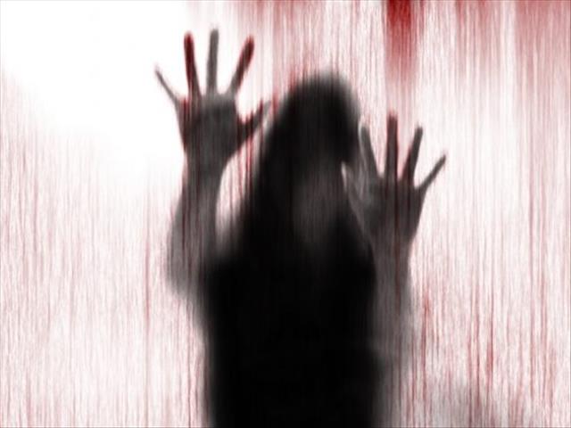 FS Legislature to scrutinise #GBV | News Article