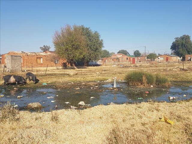 FS municipality blames residents for sewerage crisis | News Article
