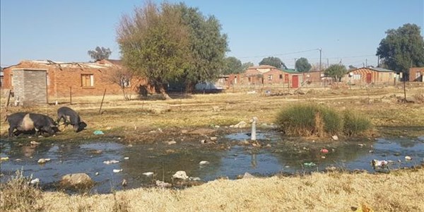 FS municipality blames residents for sewerage crisis | News Article