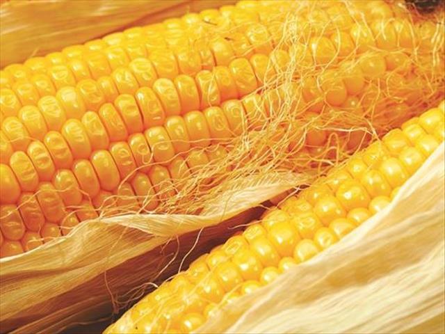Senwes Grainlink: Hier is jou jongste Safex-pryse | News Article