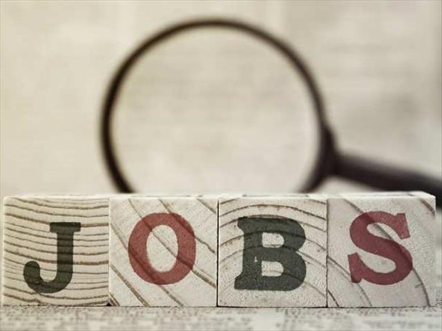 DA expresses concern over high FS unemployment | News Article