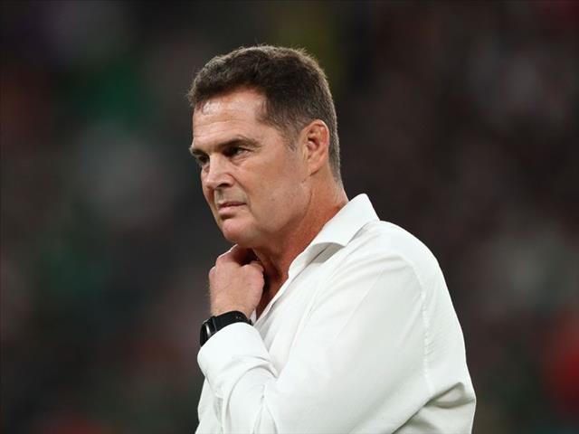 Springboks, Erasmus nominated for global awards | News Article