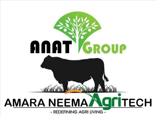 Young group of future farmers hosts FS indaba | News Article