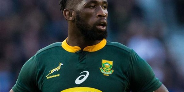 Do-or-die for the Boks against Italy Do-or-die for the Boks against Italy | News Article