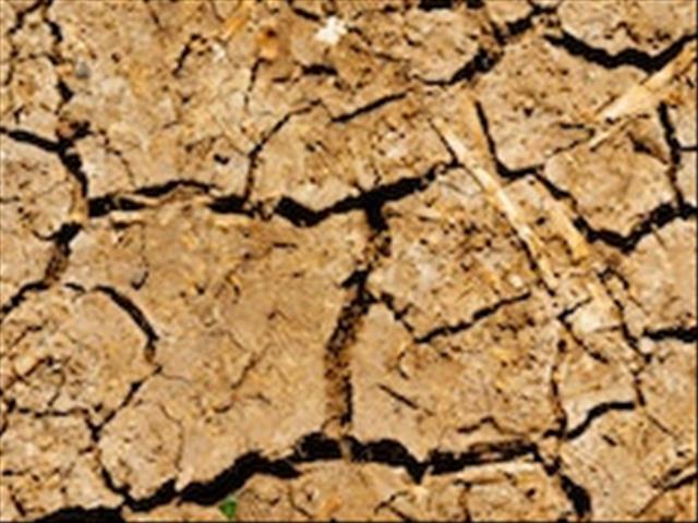 #DA: Die regering moet spoedig droogteramphulp aan NK verleen | News Article
