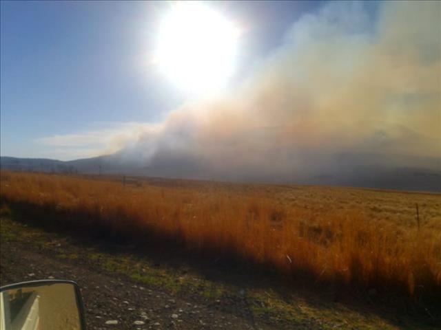 Oos-Vrystaat-veldbrand onder beheer | News Article