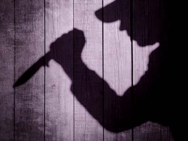 #HeidedalCrime: Laerskoolseun dood ná mesaanval  | News Article