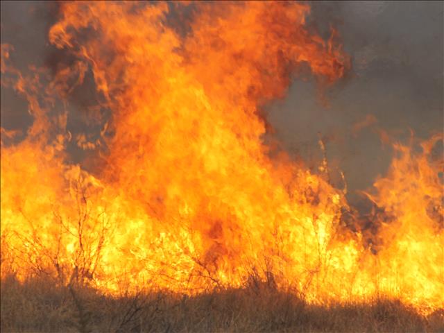 Fire department dispatches three vehicles in search of fire  | News Article