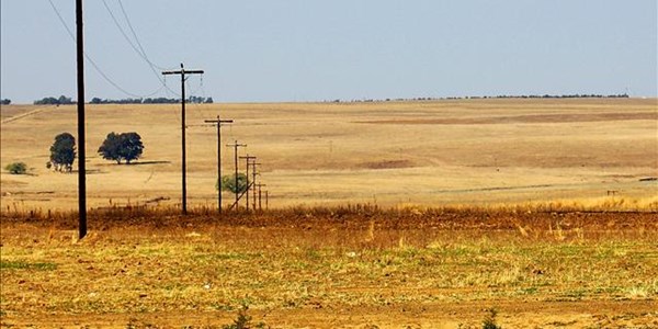 Landbounuus-podcast: Vooruitsigte op reën in Wes-Kaapse nie gunstig nie Landbounuus-podcast: Vooruitsigte op reën in Wes-Kaapse nie gunstig nie | News Article