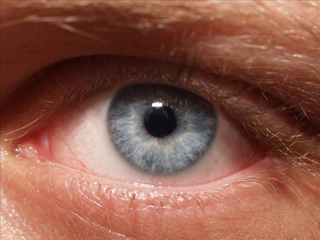 Actor goes 1 hour, 17 minutes, 3 seconds without blinking | News Article