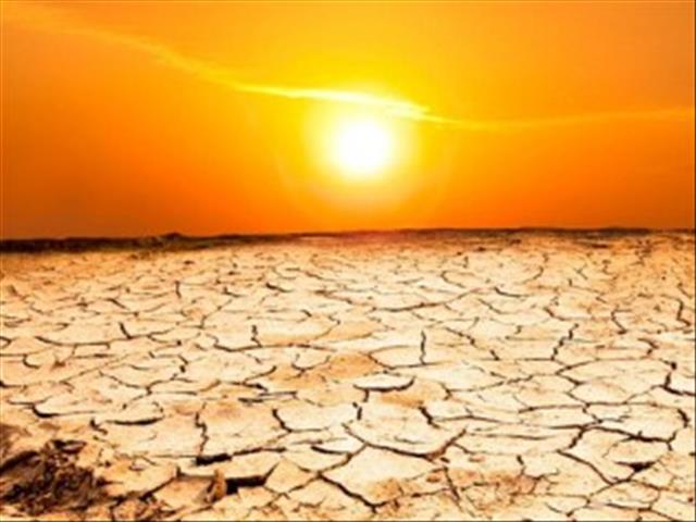 Departement sal NK-boere help | News Article
