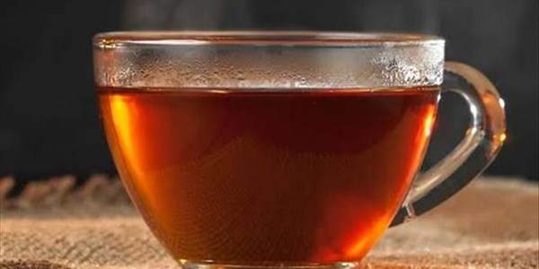 Khoi, San communities to reap benefits of rooibos industry | News Article