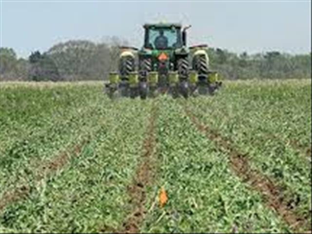 Youth-led entity strives to farm on their own land | News Article