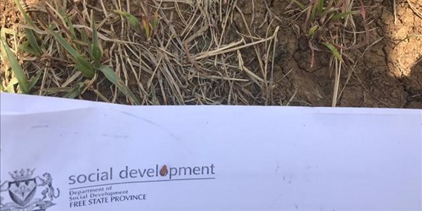 FS Social Development probes documents dumped in Thaba Nchu field | News Article