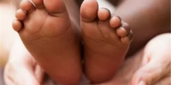 Close to 900 social workers trained and ready to render adoption services Close to 900 social workers trained and ready to render adoption services | News Article