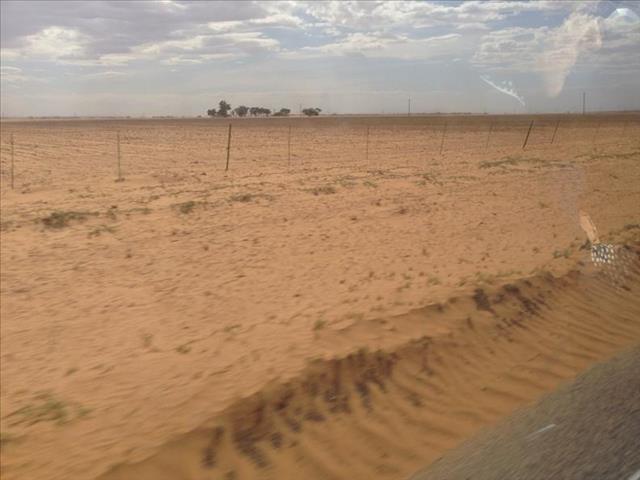 #SADrought: Farmers raise alarm | News Article