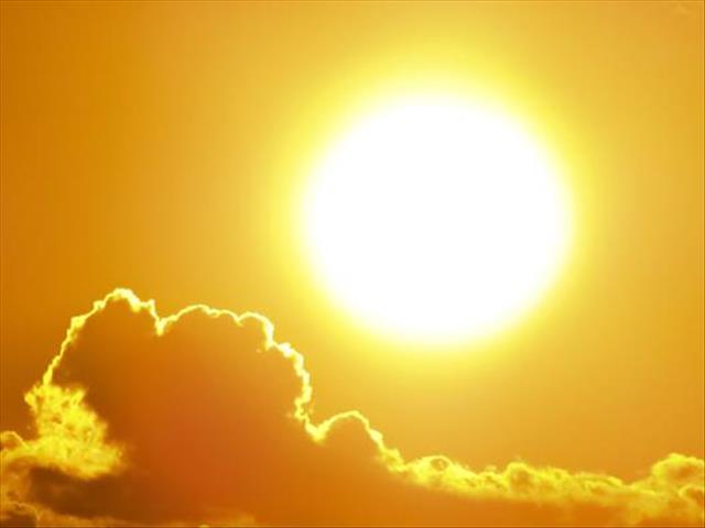 South Africa faces a possible dry season with another foot-and-mouth outbreak   | News Article