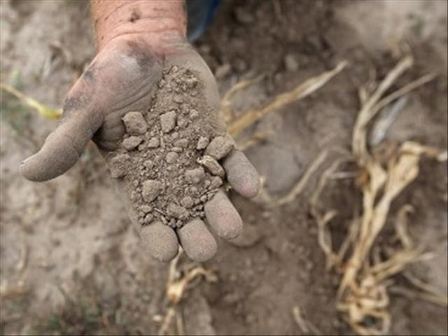 #SADrought: Relief programme heads to NC | News Article