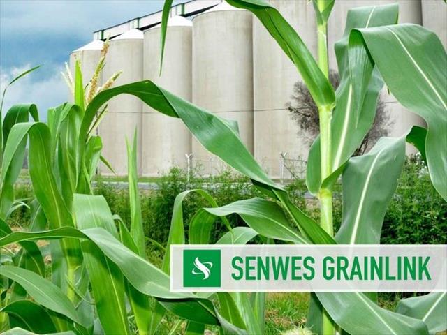 Senwes Grainlink: Hier is jou jongste Safex-pryse | News Article