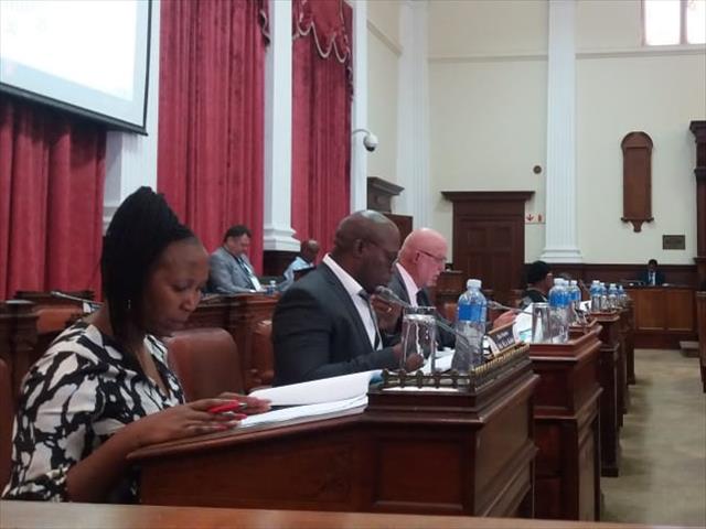 DA fails to resolve political battles - Meeko | News Article