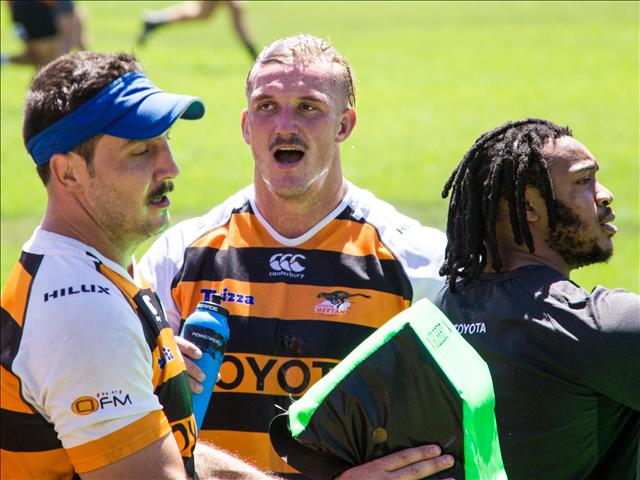 Back to the salt mines for the Cheetahs | News Article