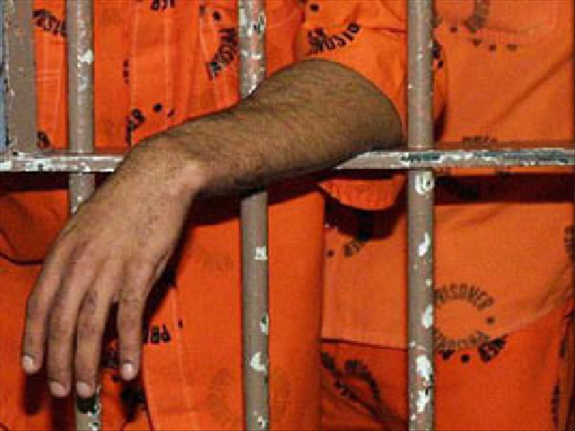 FS judge questions flaws in rehabilitation programme  | News Article