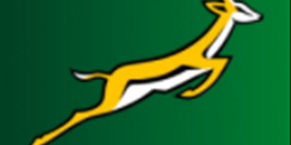#RWC2019: Springbok T-shirts sold out #RWC2019: Springbok T-shirts sold out | News Article