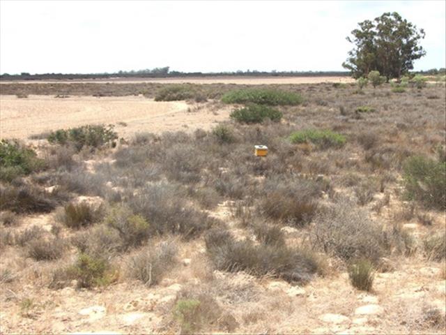 Noord-Kaapse ekonomie kan ineenstort sonder dringende regeringsingryping | News Article