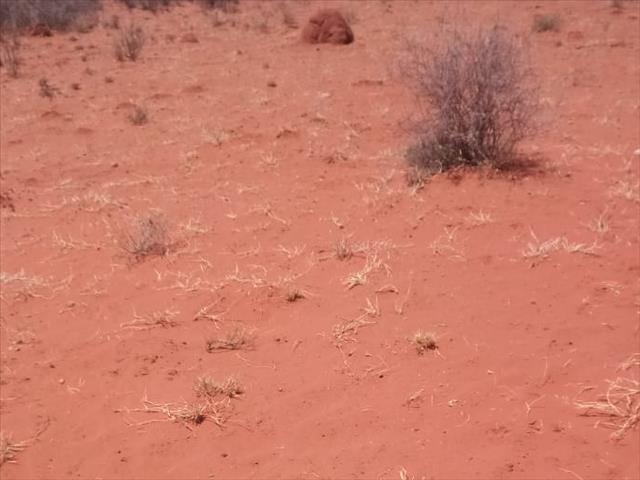 #LandbouHoop: Agri SA vra openbare geldelike ondersteuning vir landbougemeenskappe | News Article