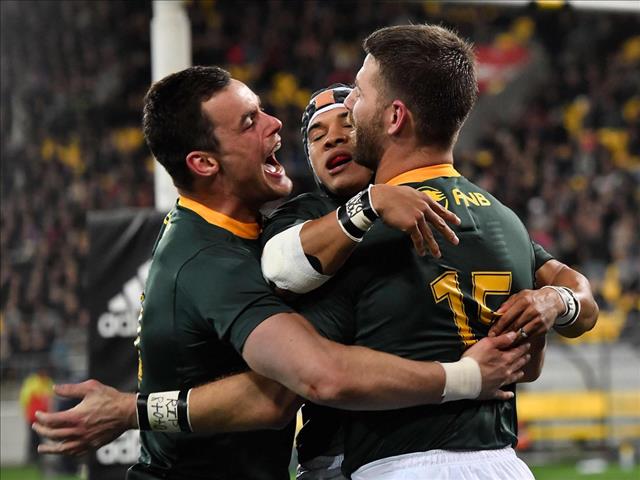 Springboks to host Scotland and Georgia in July 2020 | News Article