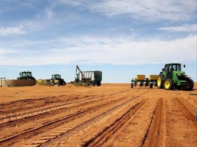 Senwes Grainlink: Hier is jou jongste Safex-pryse | News Article