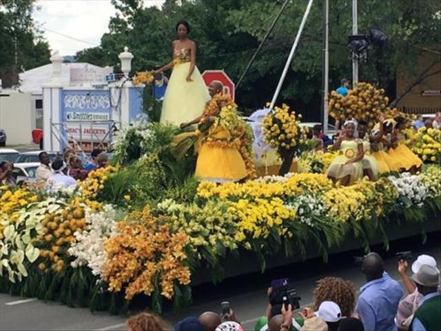 FS Madeira Flower Festival set to dazzle | News Article