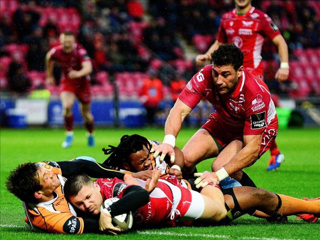 Another narrow defeat for the Cheetahs | News Article