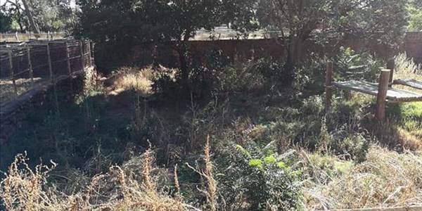 End of the road for Bfn Zoo? End of the road for Bfn Zoo? | News Article