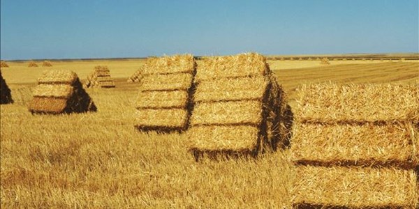 Motivering vir die dag: Mense het baie lesse om te leer Motivering vir die dag: Mense het baie lesse om te leer | News Article