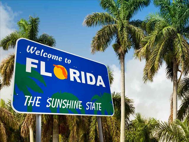 Florida dog knocks car into reverse, drives in circles for an hour | News Article