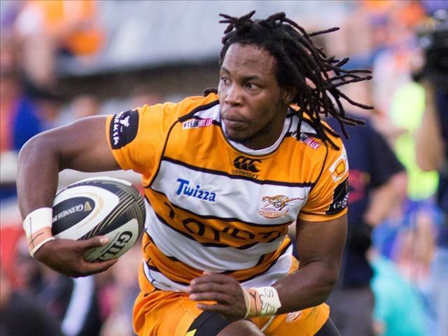 New and old faces in Cheetahs touring squad | News Article