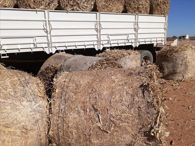 #LandbouHoop: NK-boer sê sy wroeg met die droogte, maar God se genade is groot | News Article