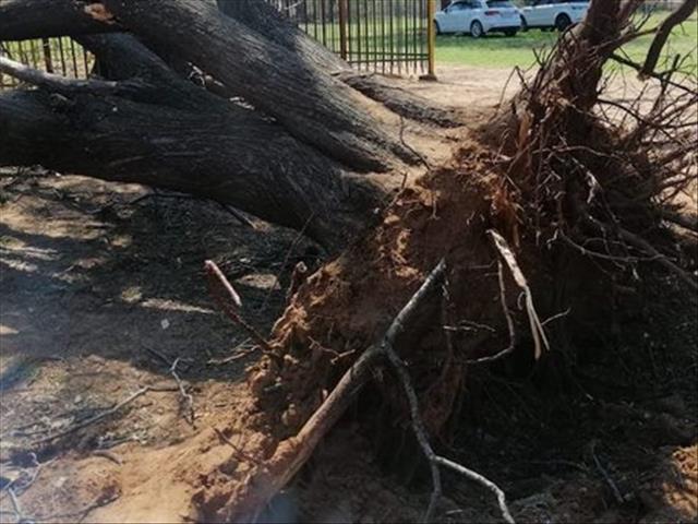 North West towns damaged by storms | News Article