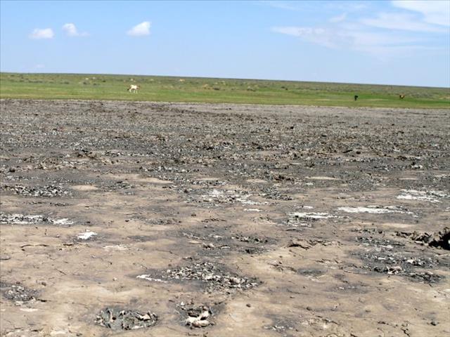 Agri podcast: Dam levels in various parts of South Africa continue to drop drastically | News Article