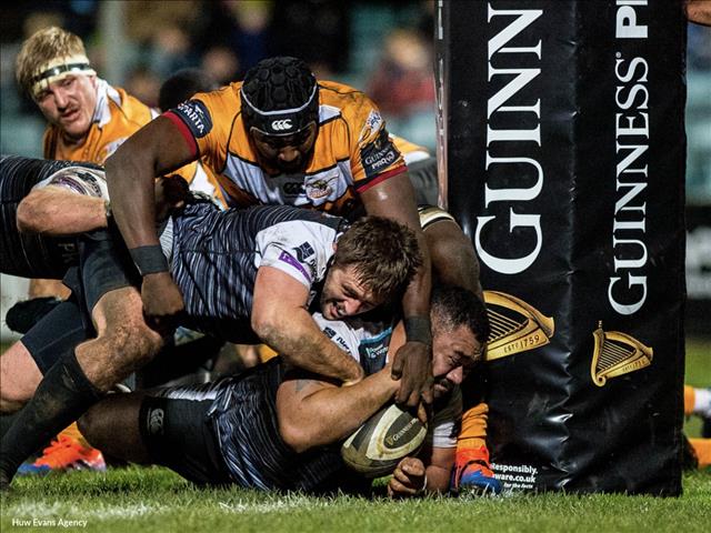 Cheetahs survive a late Ospreys onslaught in Neath | News Article
