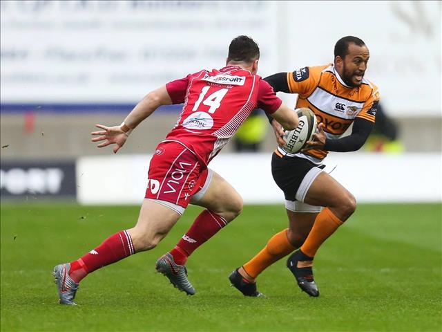 Cheetahs expect faster game in Cardiff | News Article