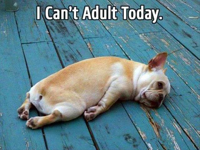 Do Millennials Need “Adulting | News Article