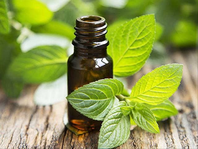 Can Peppermint Toothpaste Grow Hair? | News Article